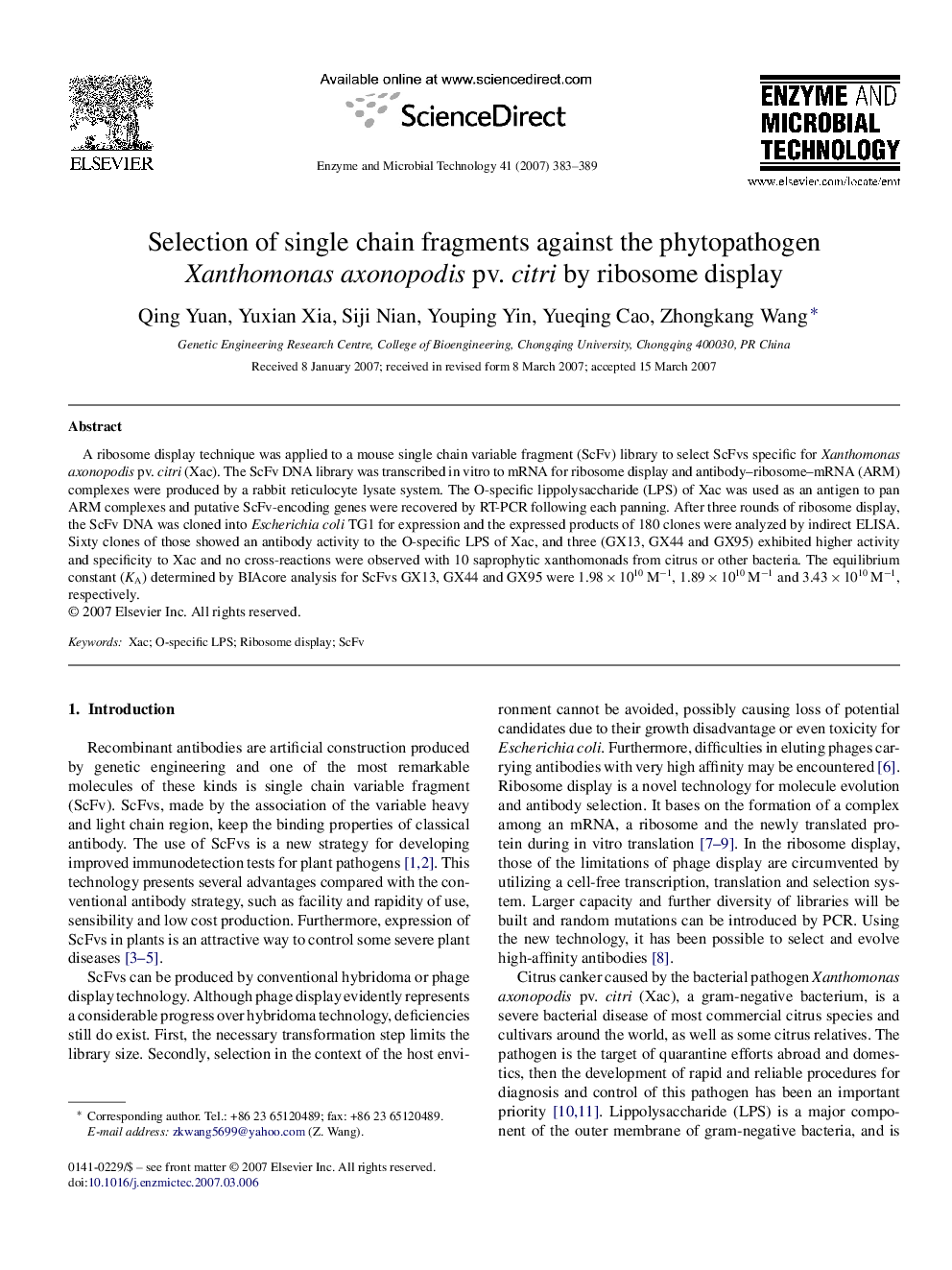 Selection of single chain fragments against the phytopathogen Xanthomonas axonopodis pv. citri by ribosome display