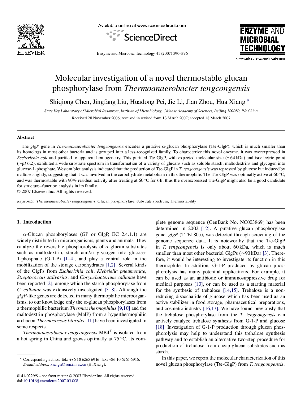 Molecular investigation of a novel thermostable glucan phosphorylase from Thermoanaerobacter tengcongensis