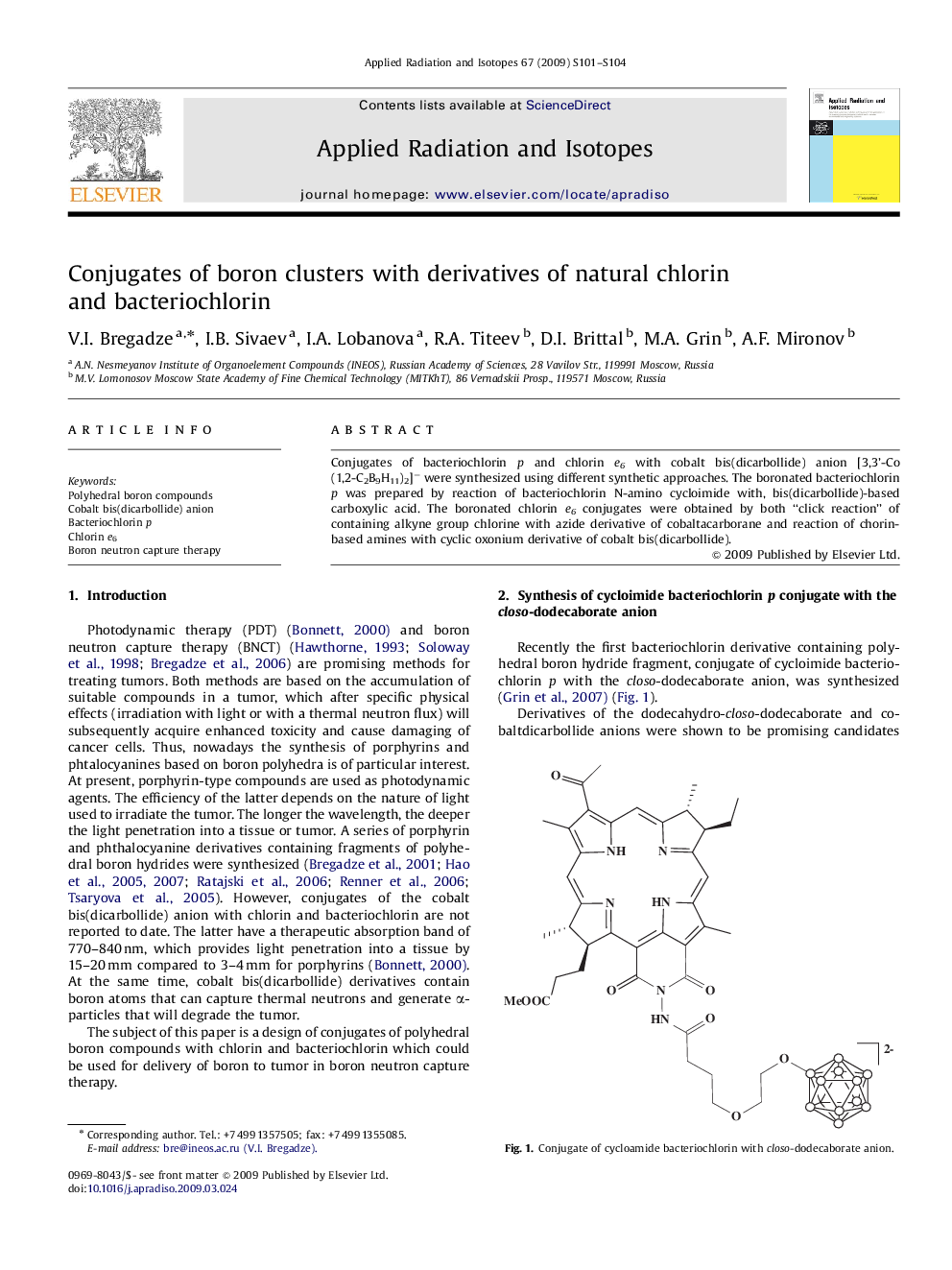 Conjugates of boron clusters with derivatives of natural chlorin and bacteriochlorin