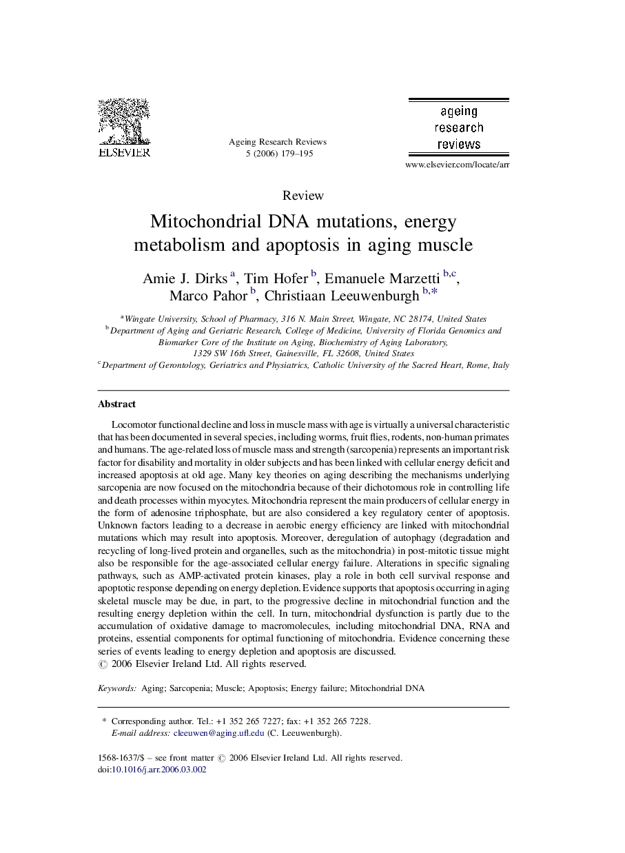 Mitochondrial DNA mutations, energy metabolism and apoptosis in aging muscle