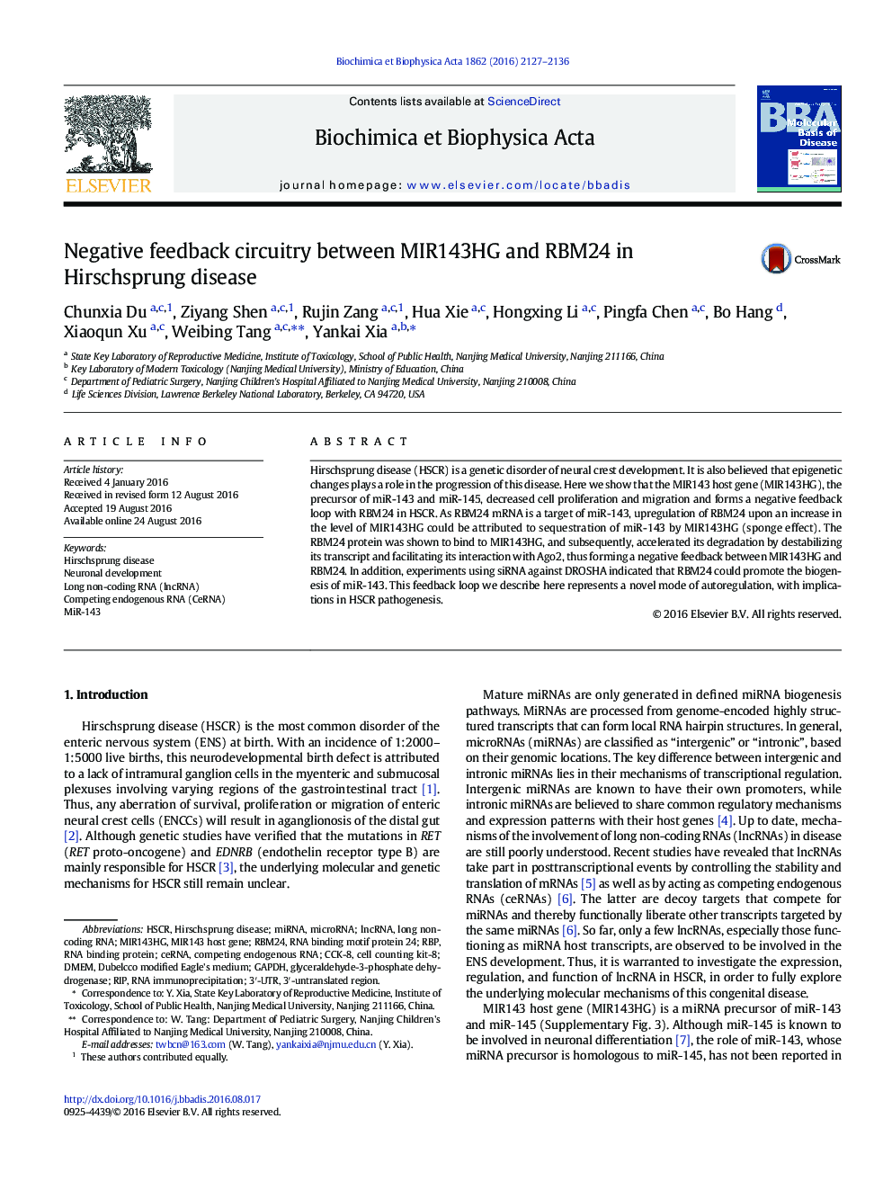 مدار بازخورد منفی بین MIR143HG و RBM24 در بیماری هیرشپرونگ