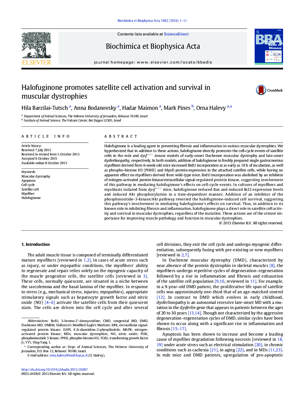 Halofuginone promotes satellite cell activation and survival in muscular dystrophies