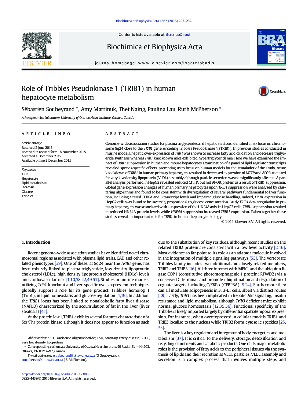 Role of Tribbles Pseudokinase 1 (TRIB1) in human hepatocyte metabolism