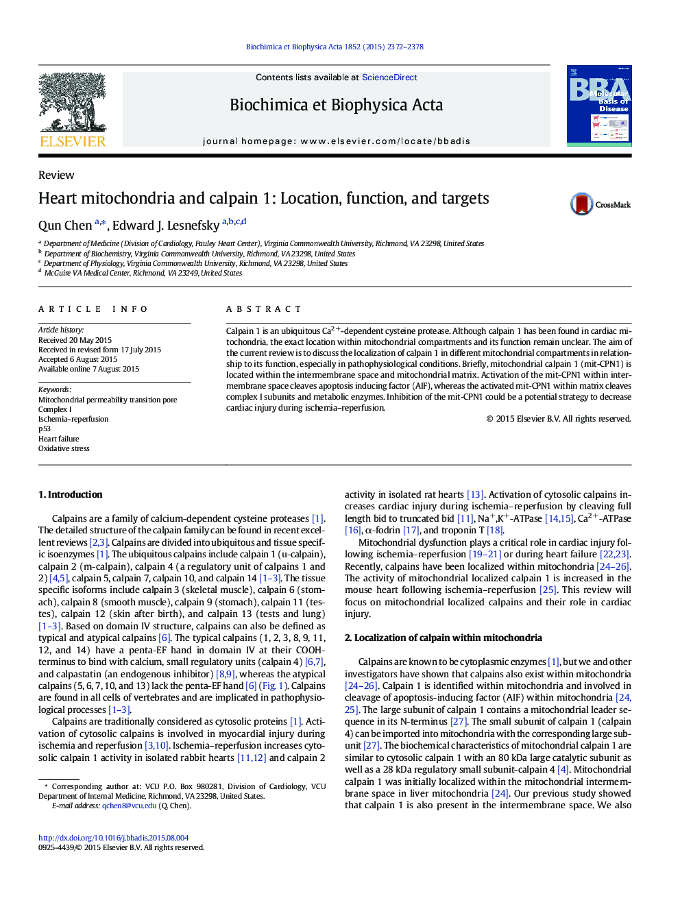 Heart mitochondria and calpain 1: Location, function, and targets