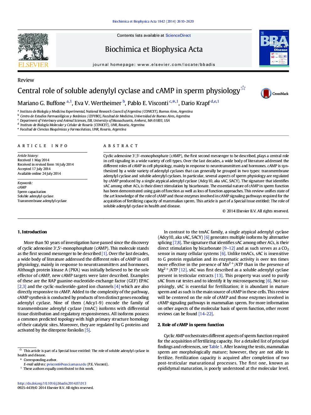 Central role of soluble adenylyl cyclase and cAMP in sperm physiology 