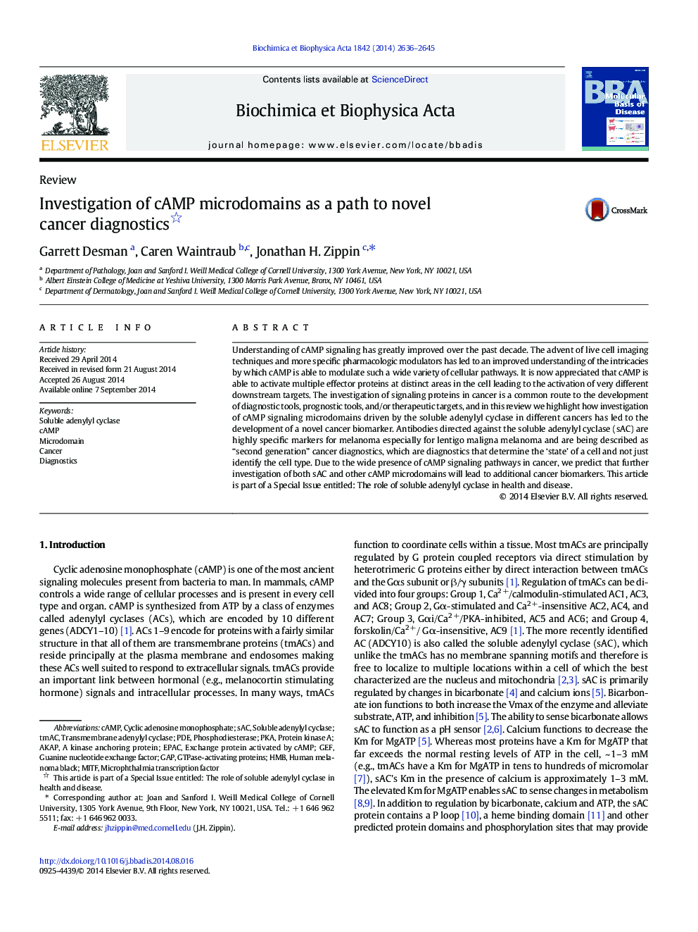 Investigation of cAMP microdomains as a path to novel cancer diagnostics 