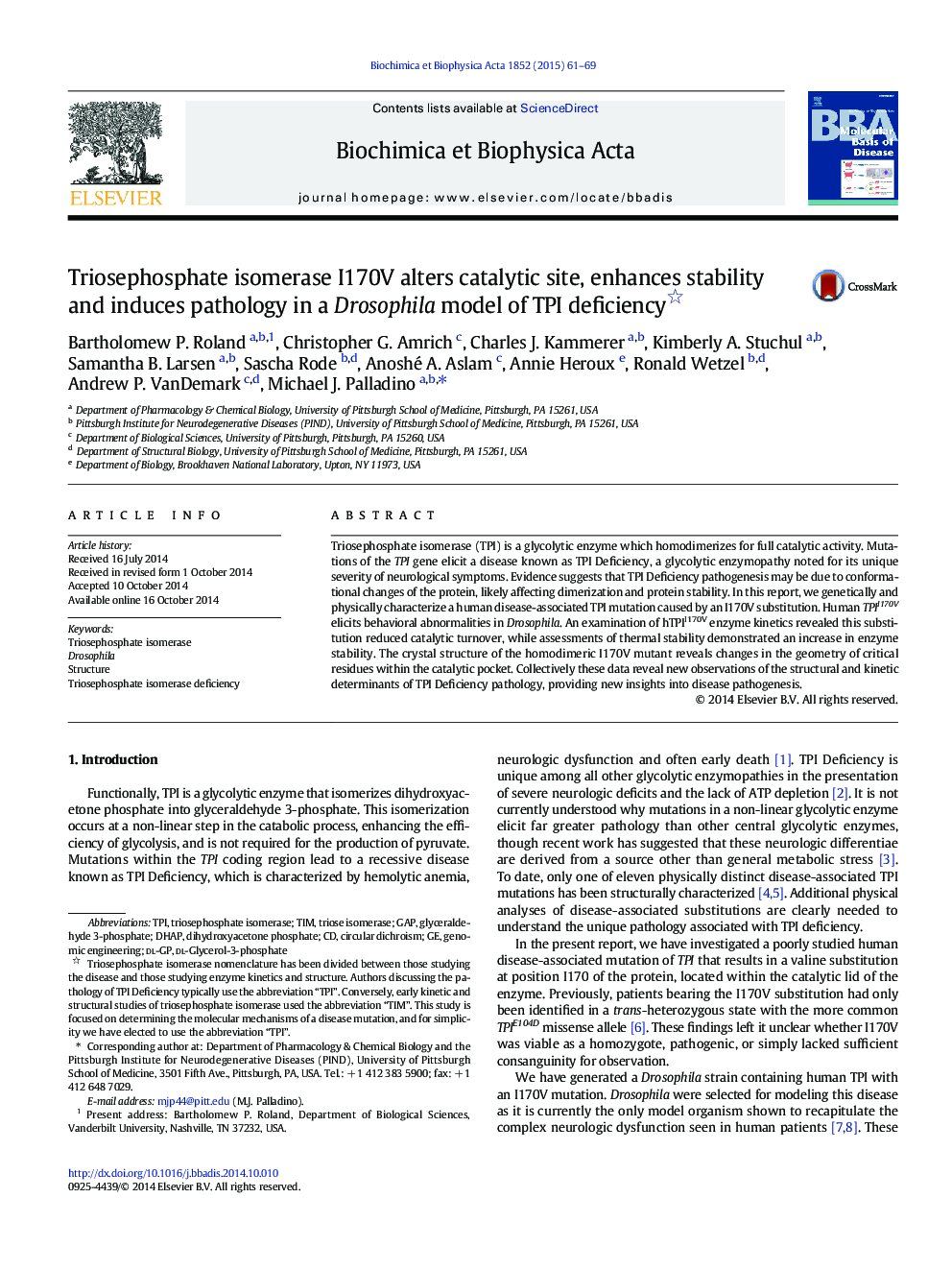 Triosephosphate isomerase I170V alters catalytic site, enhances stability and induces pathology in a Drosophila model of TPI deficiency 