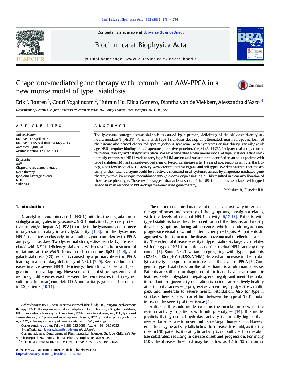 Chaperone-mediated gene therapy with recombinant AAV-PPCA in a new mouse model of type I sialidosis