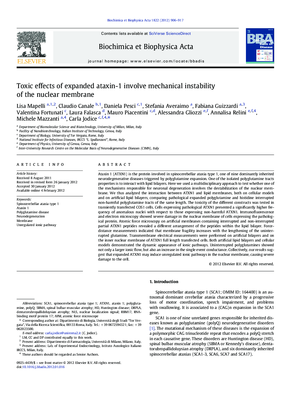 Toxic effects of expanded ataxin-1 involve mechanical instability of the nuclear membrane