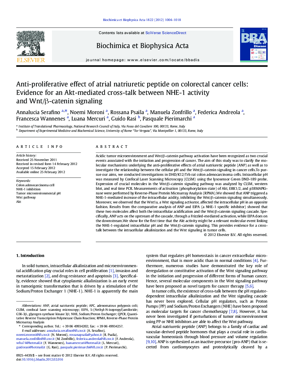 Anti-proliferative effect of atrial natriuretic peptide on colorectal cancer cells: Evidence for an Akt-mediated cross-talk between NHE-1 activity and Wnt/β-catenin signaling