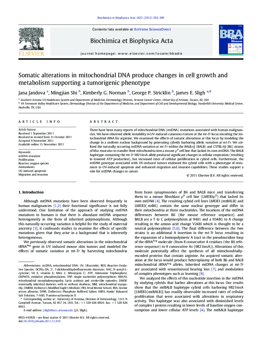 Somatic alterations in mitochondrial DNA produce changes in cell growth and metabolism supporting a tumorigenic phenotype