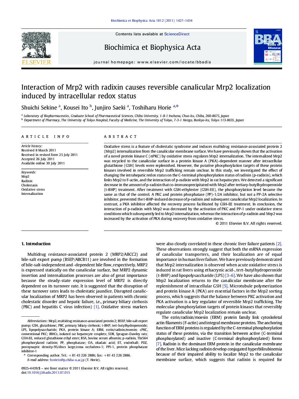 Interaction of Mrp2 with radixin causes reversible canalicular Mrp2 localization induced by intracellular redox status