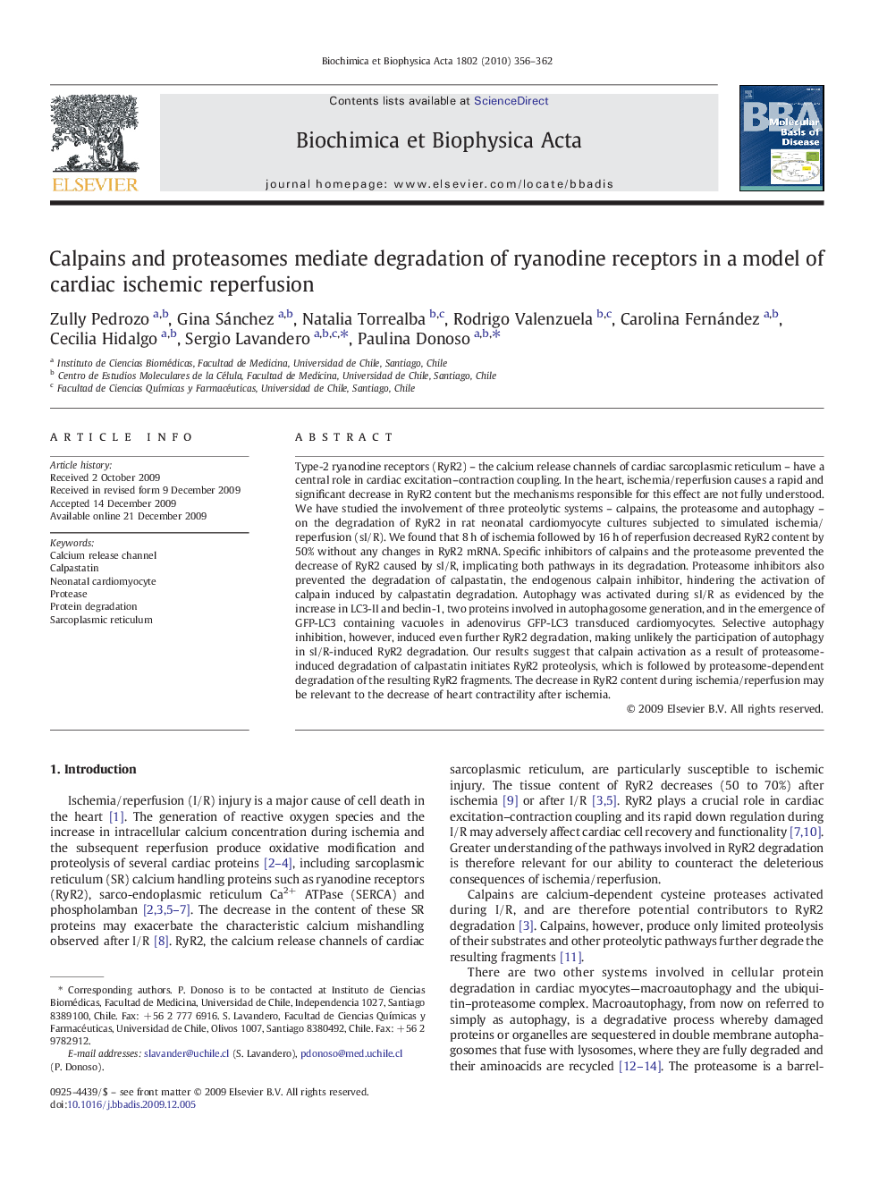 Calpains and proteasomes mediate degradation of ryanodine receptors in a model of cardiac ischemic reperfusion