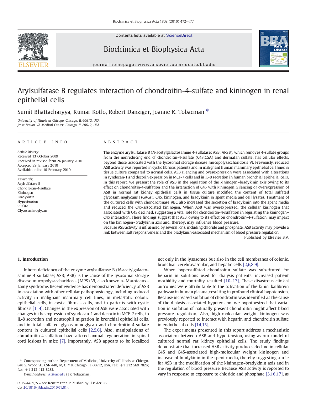 Arylsulfatase B regulates interaction of chondroitin-4-sulfate and kininogen in renal epithelial cells