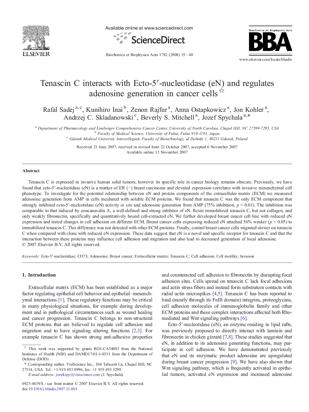 Tenascin C interacts with Ecto-5′-nucleotidase (eN) and regulates adenosine generation in cancer cells 