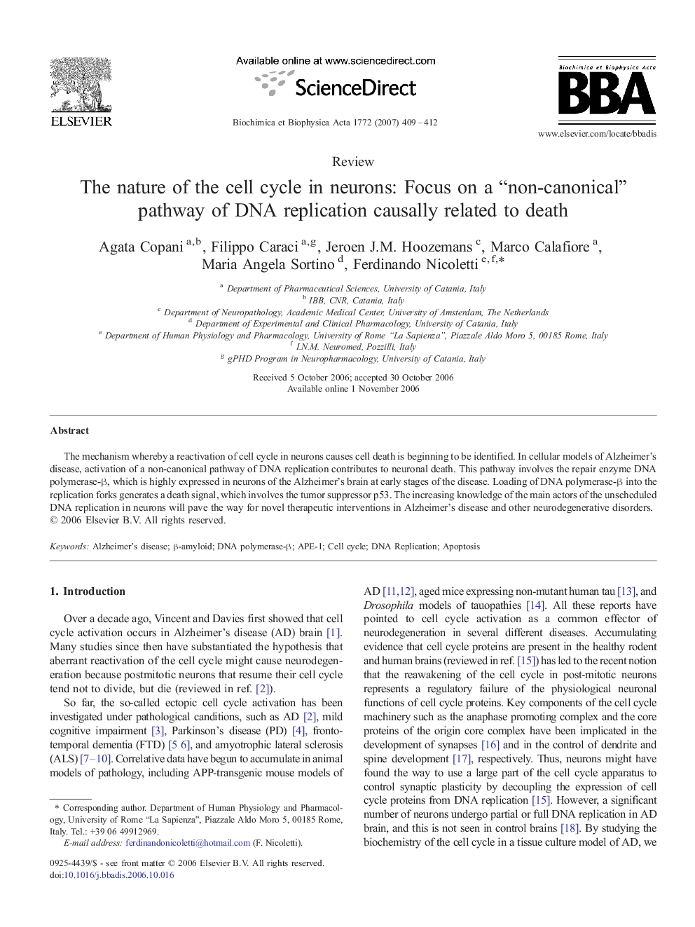 The nature of the cell cycle in neurons: Focus on a “non-canonical” pathway of DNA replication causally related to death