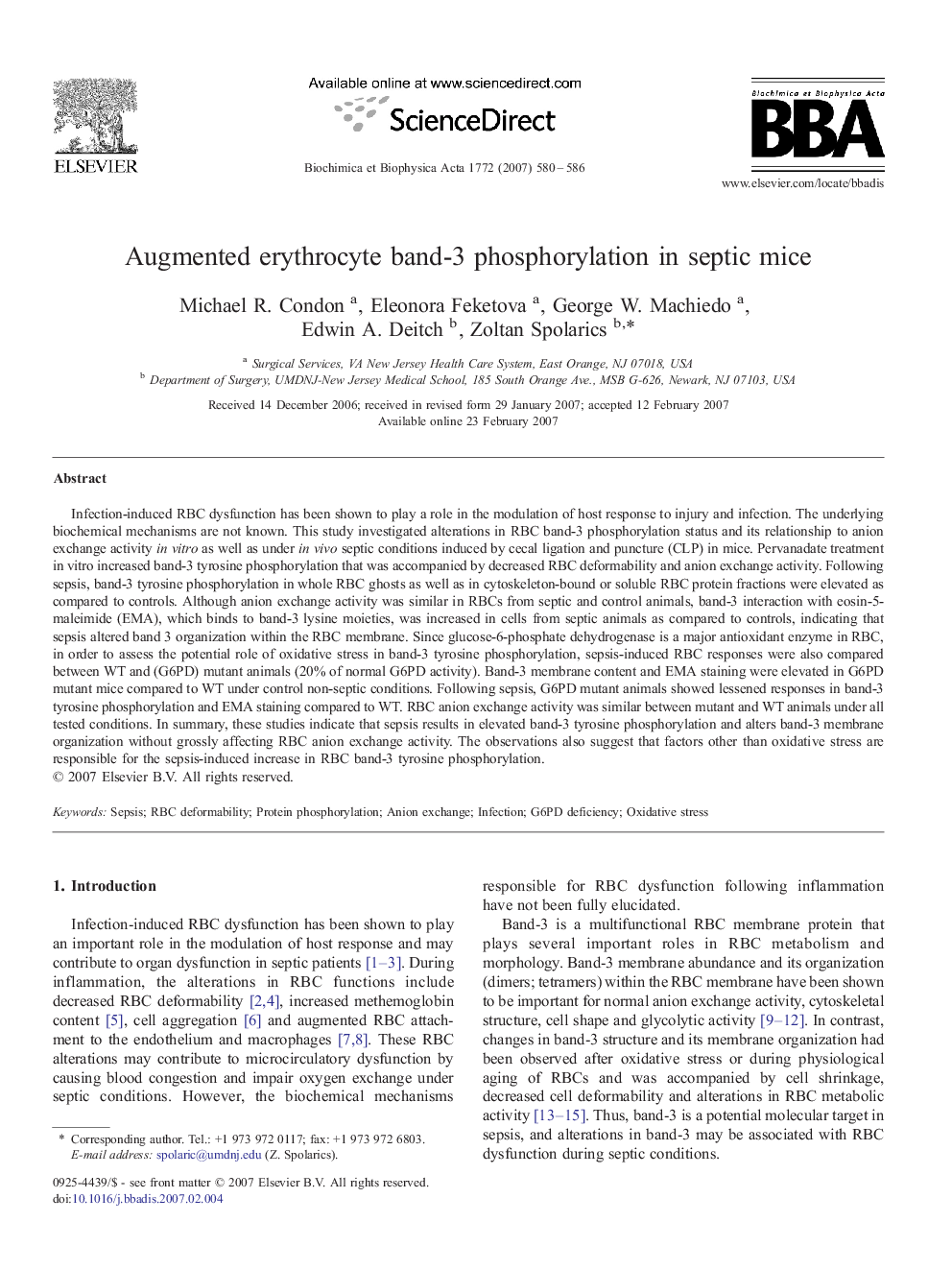 Augmented erythrocyte band-3 phosphorylation in septic mice