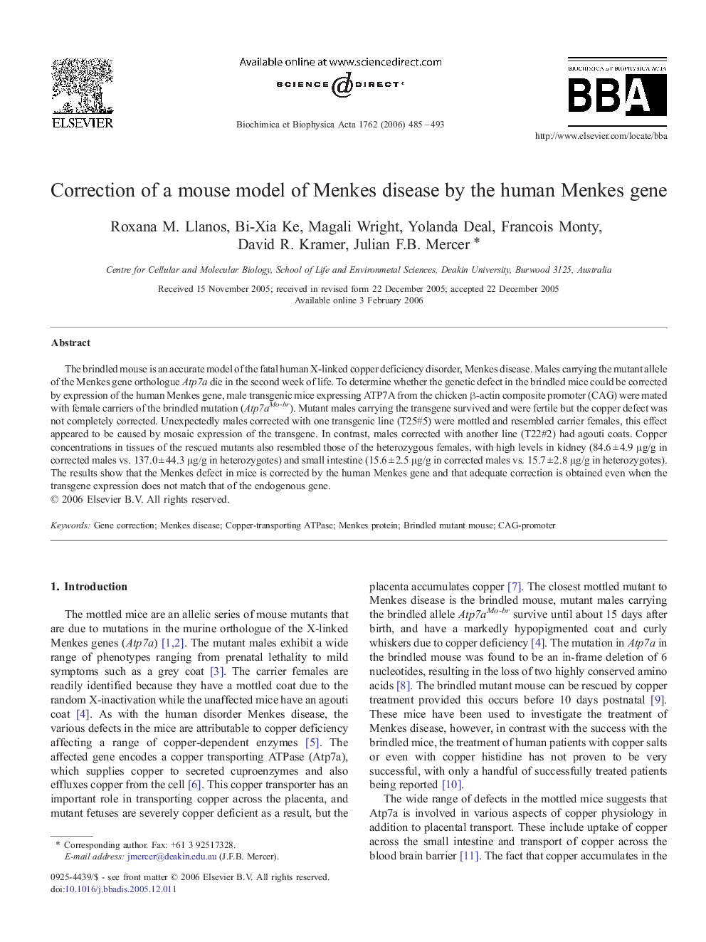 Correction of a mouse model of Menkes disease by the human Menkes gene