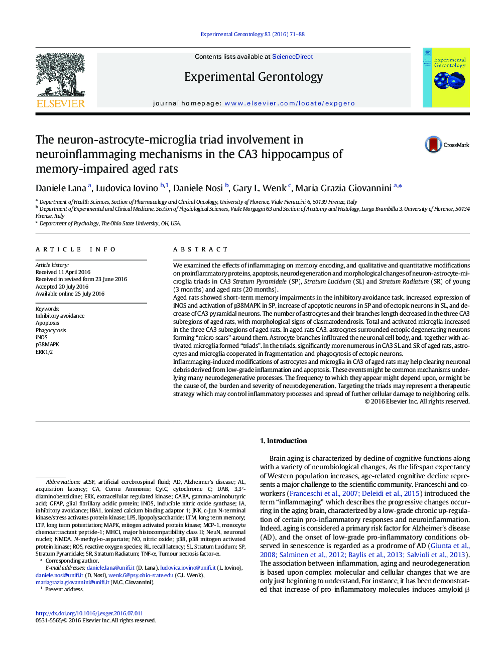 The neuron-astrocyte-microglia triad involvement in neuroinflammaging mechanisms in the CA3 hippocampus of memory-impaired aged rats