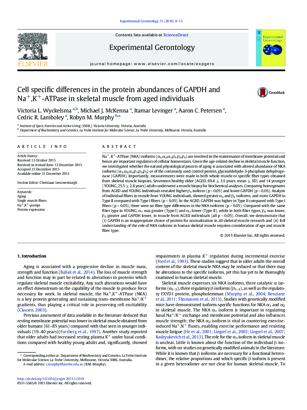 Cell specific differences in the protein abundances of GAPDH and Na+,K+-ATPase in skeletal muscle from aged individuals