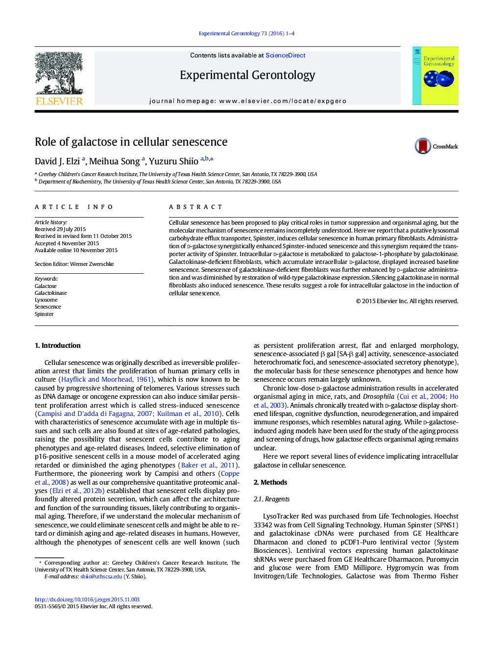 Role of galactose in cellular senescence