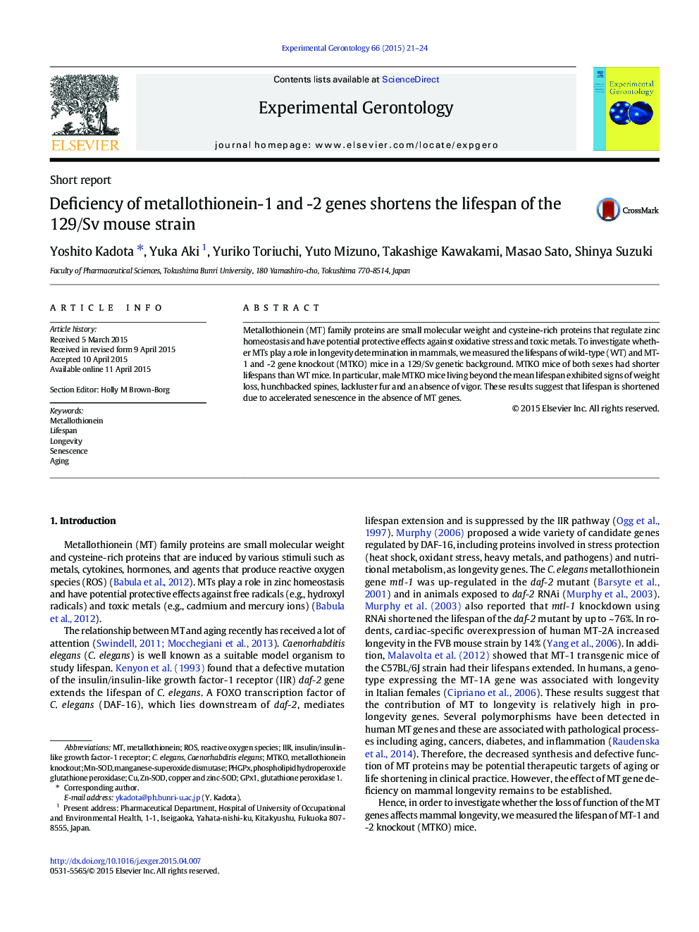 Deficiency of metallothionein-1 and -2 genes shortens the lifespan of the 129/Sv mouse strain