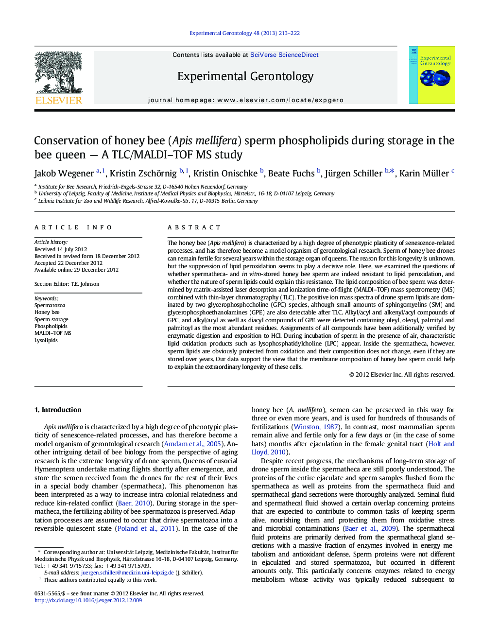 Conservation of honey bee (Apis mellifera) sperm phospholipids during storage in the bee queen — A TLC/MALDI–TOF MS study