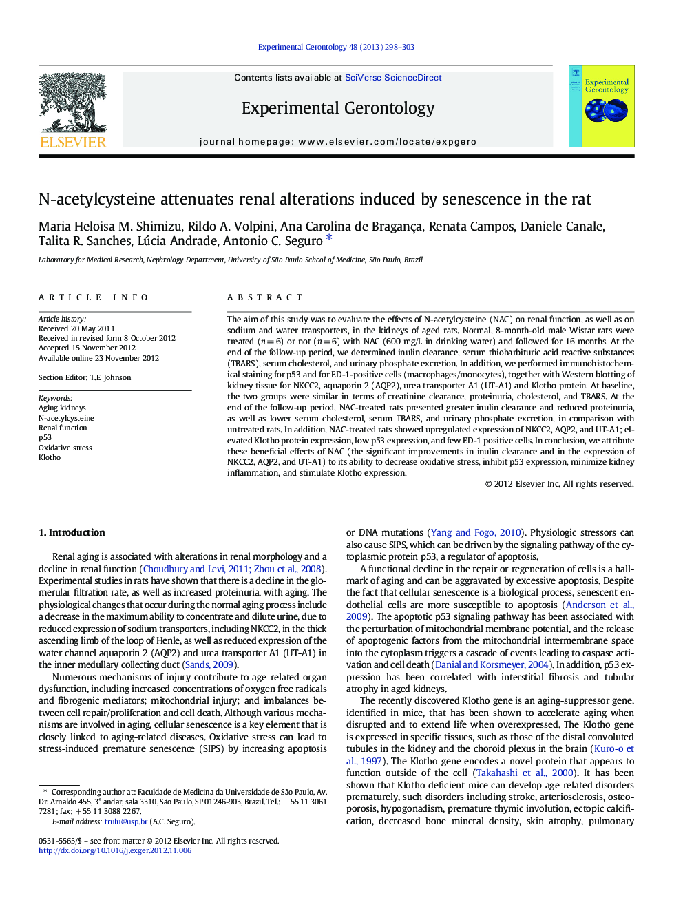 N-acetylcysteine attenuates renal alterations induced by senescence in the rat