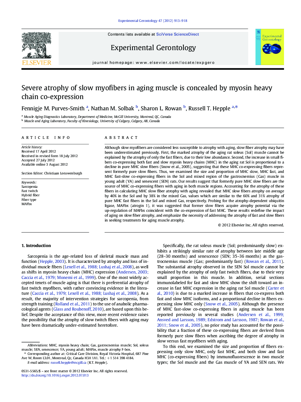 Severe atrophy of slow myofibers in aging muscle is concealed by myosin heavy chain co-expression