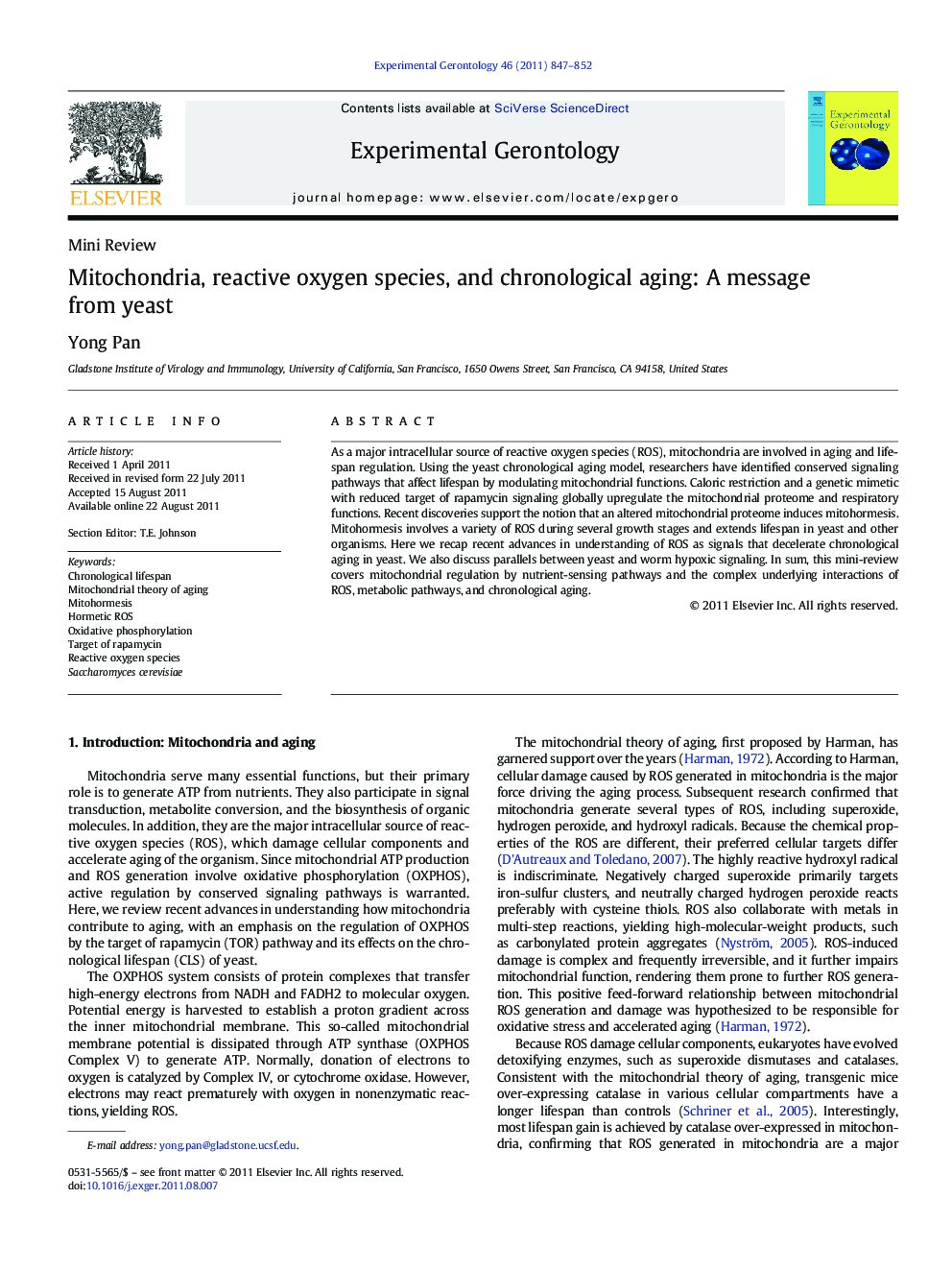 Mitochondria, reactive oxygen species, and chronological aging: A message from yeast