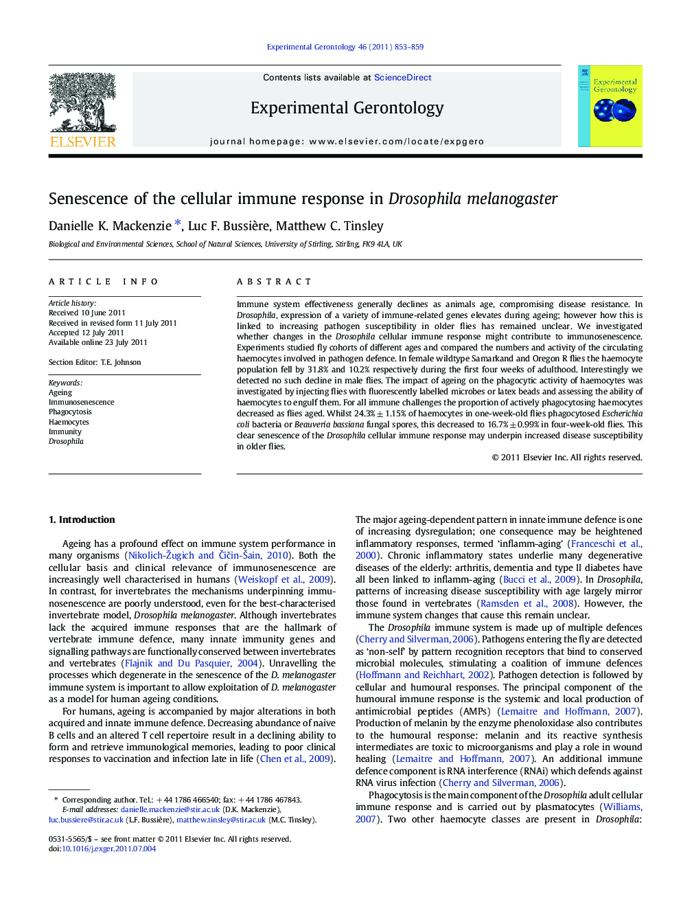 Senescence of the cellular immune response in Drosophila melanogaster