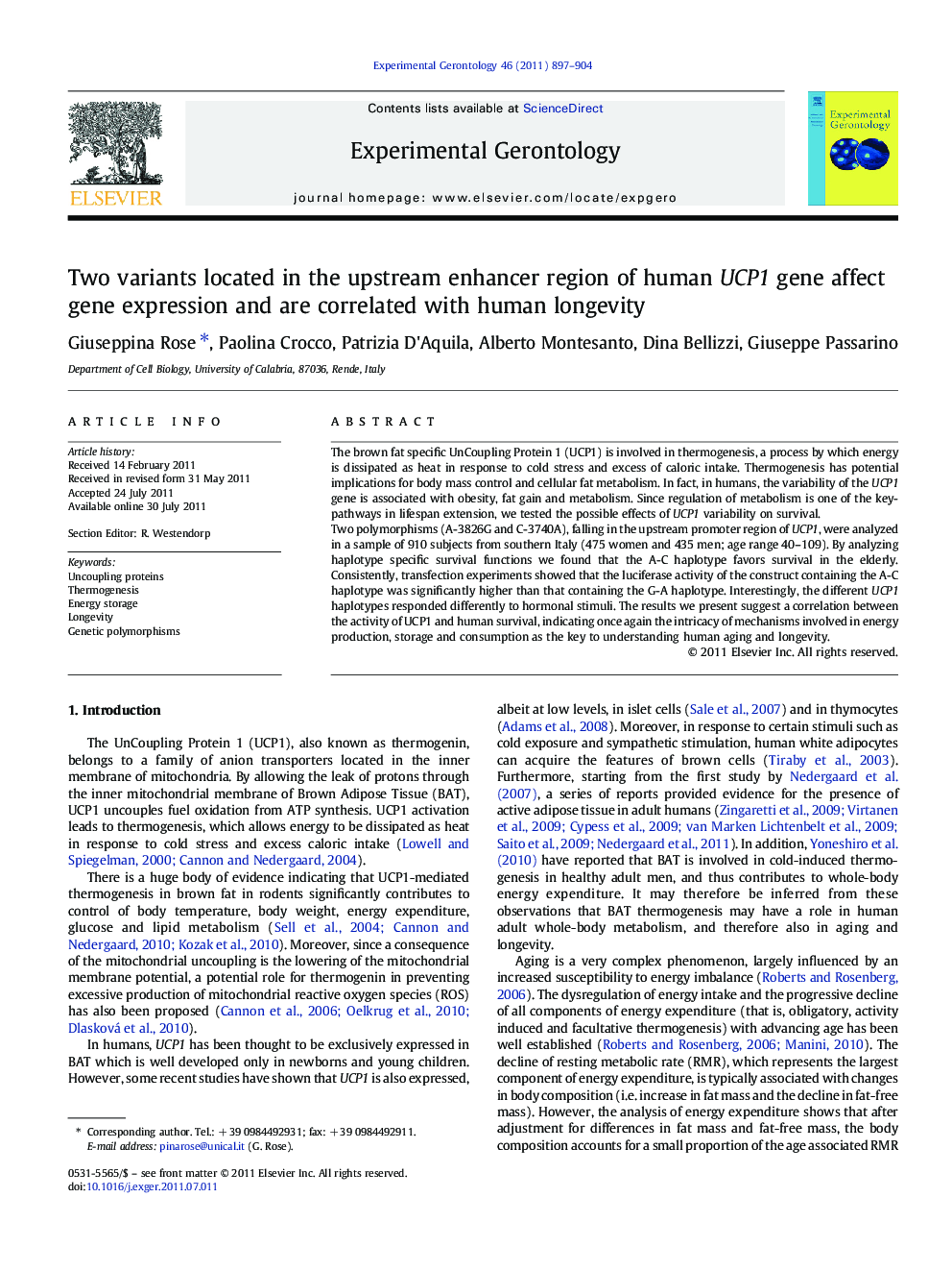 Two variants located in the upstream enhancer region of human UCP1 gene affect gene expression and are correlated with human longevity