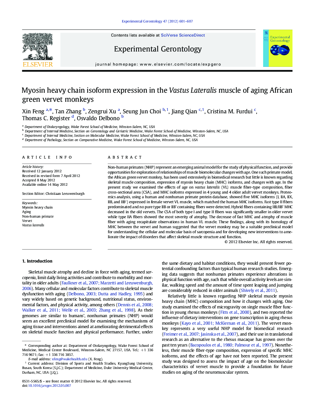 Myosin heavy chain isoform expression in the Vastus Lateralis muscle of aging African green vervet monkeys