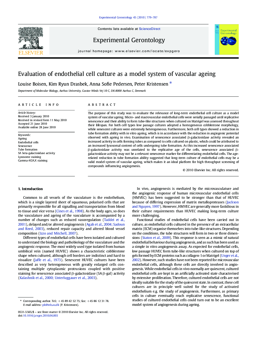 Evaluation of endothelial cell culture as a model system of vascular ageing