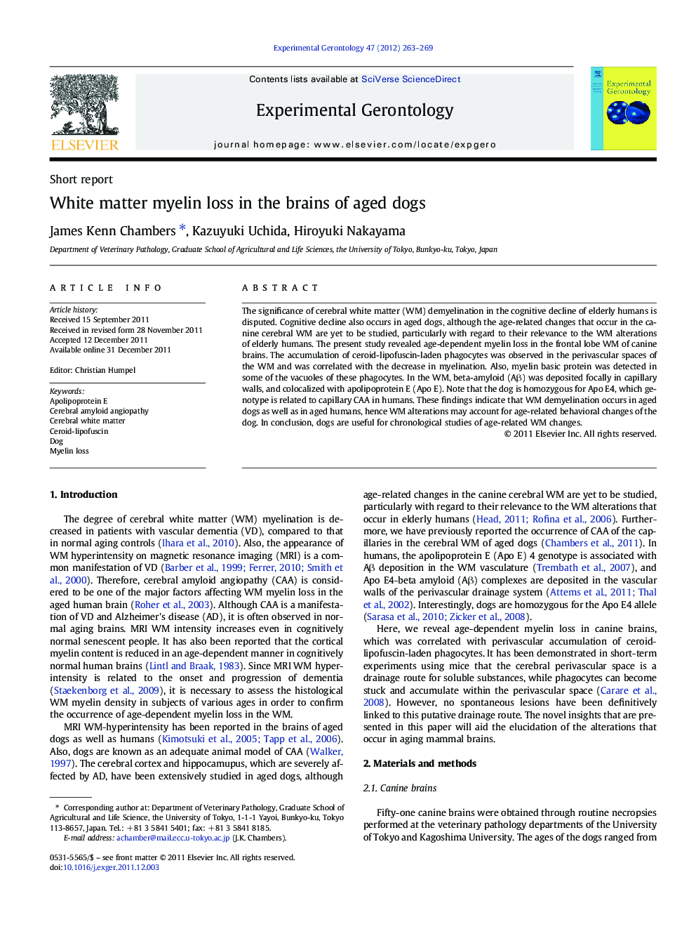 White matter myelin loss in the brains of aged dogs