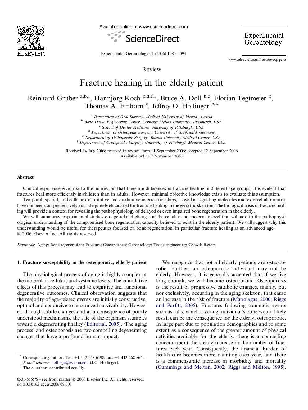 Fracture healing in the elderly patient