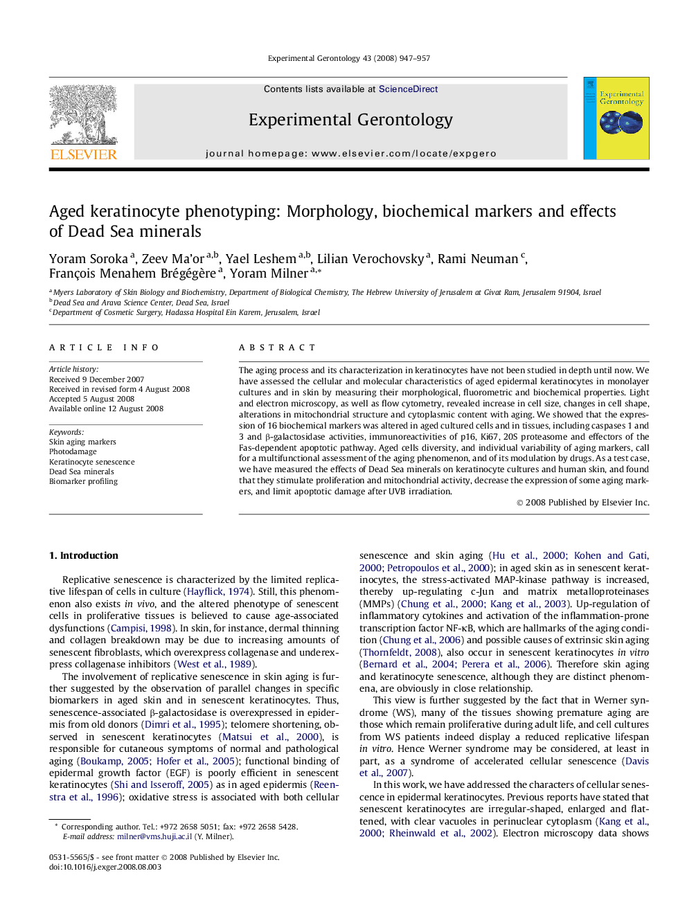 Aged keratinocyte phenotyping: Morphology, biochemical markers and effects of Dead Sea minerals