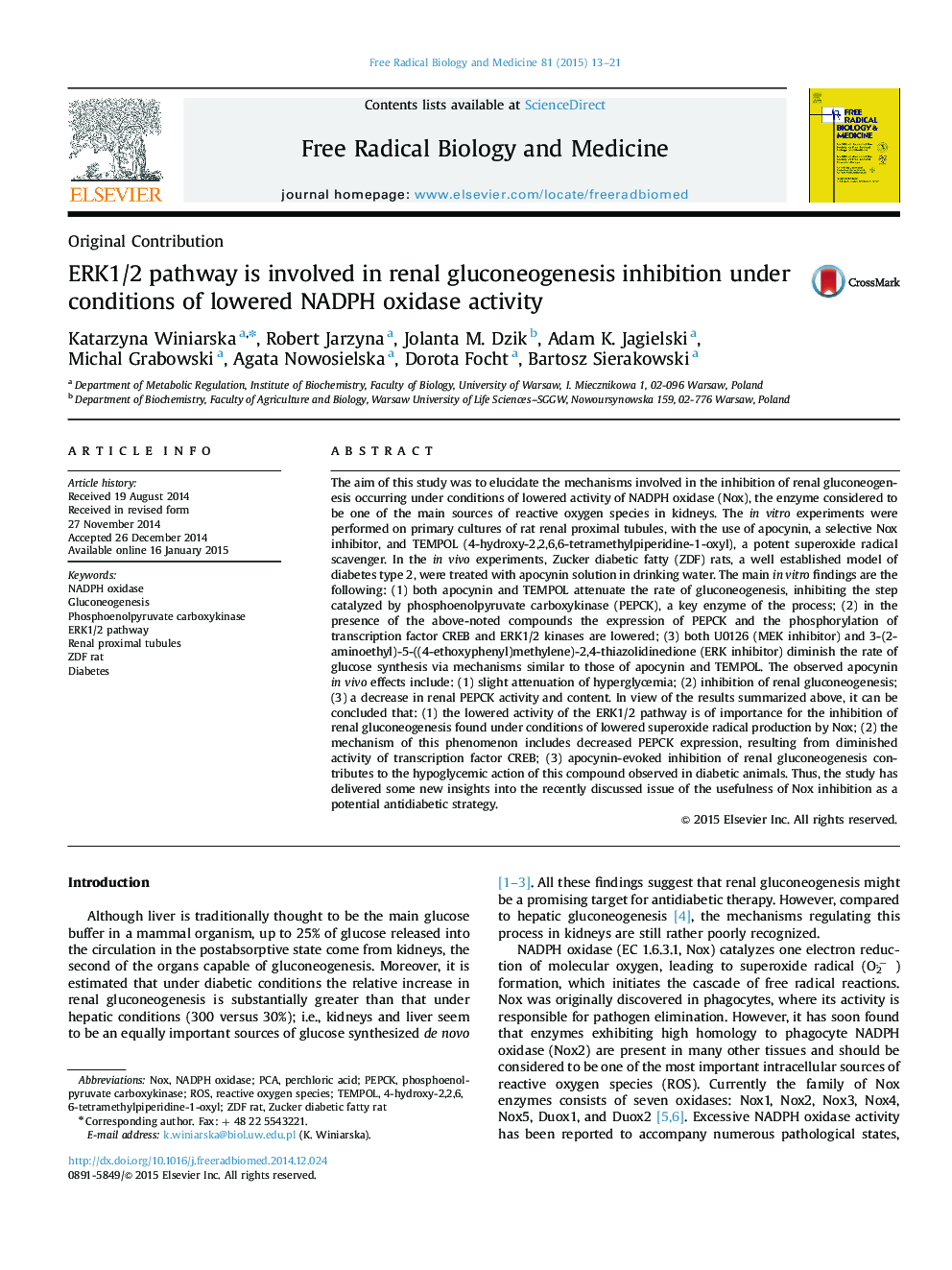 ERK1/2 pathway is involved in renal gluconeogenesis inhibition under conditions of lowered NADPH oxidase activity