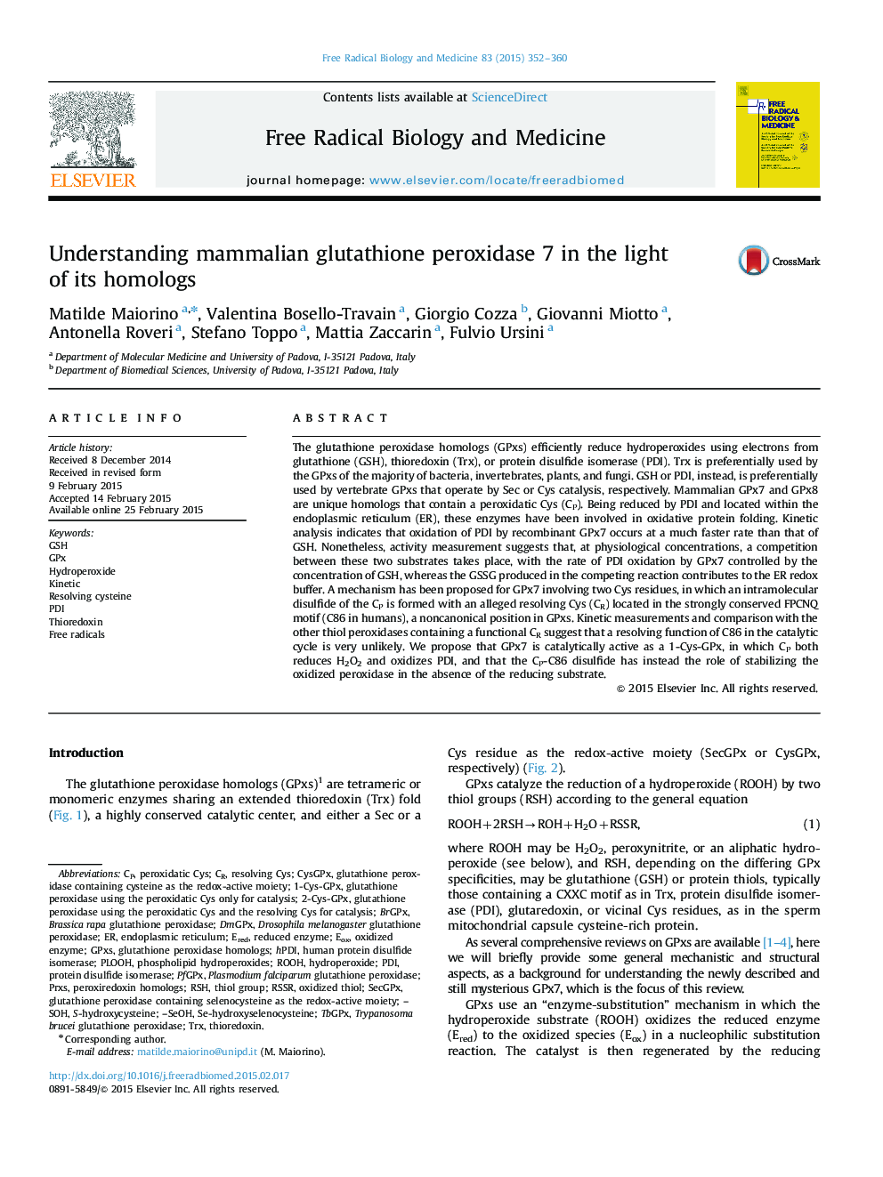 Understanding mammalian glutathione peroxidase 7 in the light of its homologs