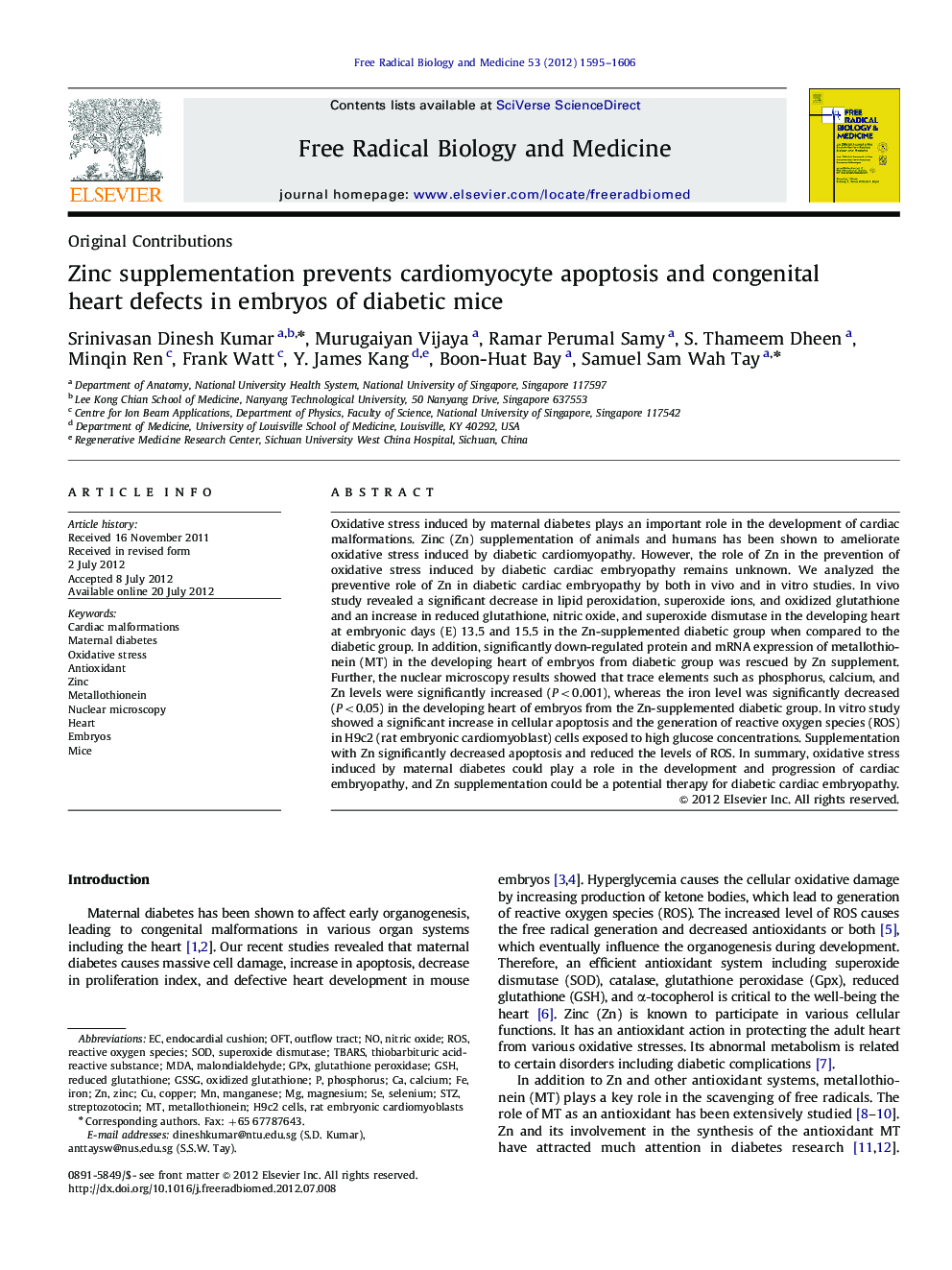 Zinc supplementation prevents cardiomyocyte apoptosis and congenital heart defects in embryos of diabetic mice