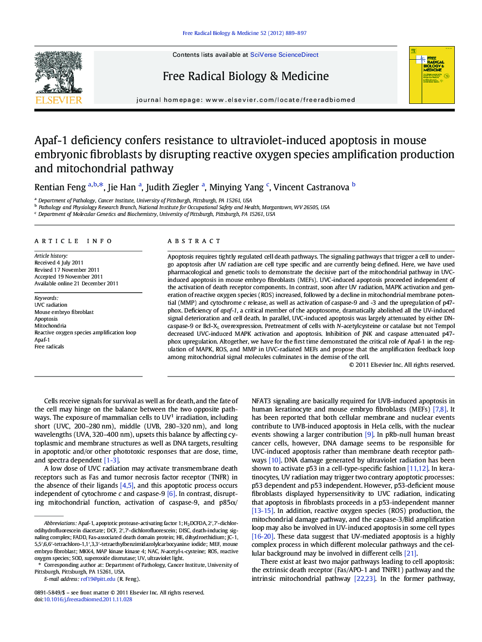 Apaf-1 deficiency confers resistance to ultraviolet-induced apoptosis in mouse embryonic fibroblasts by disrupting reactive oxygen species amplification production and mitochondrial pathway