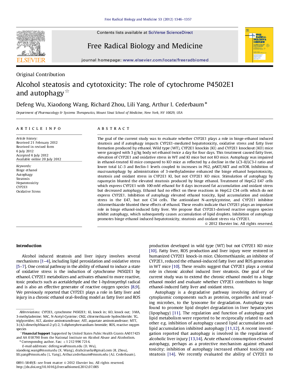 Alcohol steatosis and cytotoxicity: The role of cytochrome P4502E1 and autophagy 