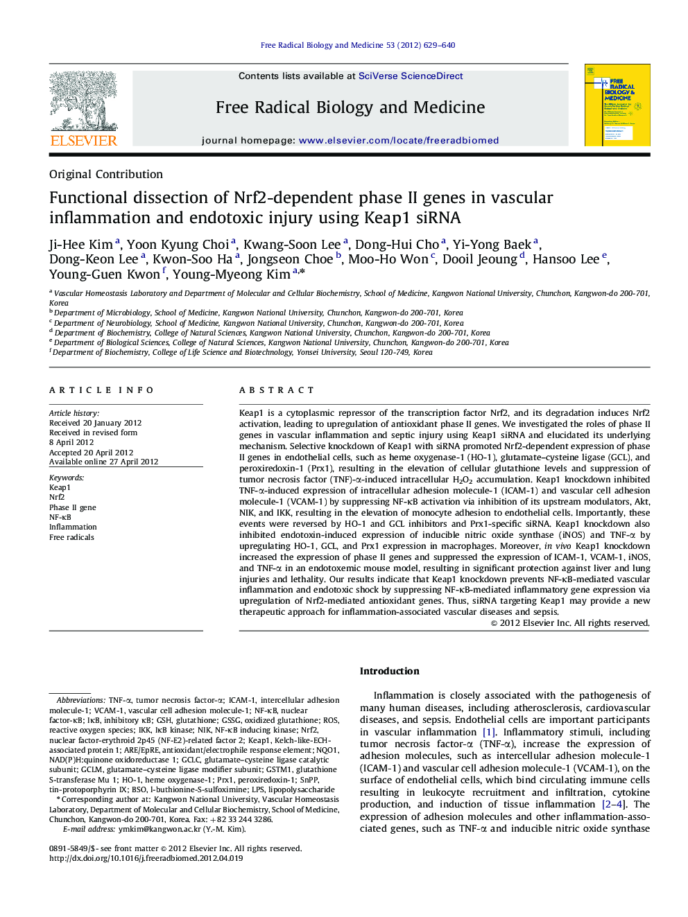 Functional dissection of Nrf2-dependent phase II genes in vascular inflammation and endotoxic injury using Keap1 siRNA