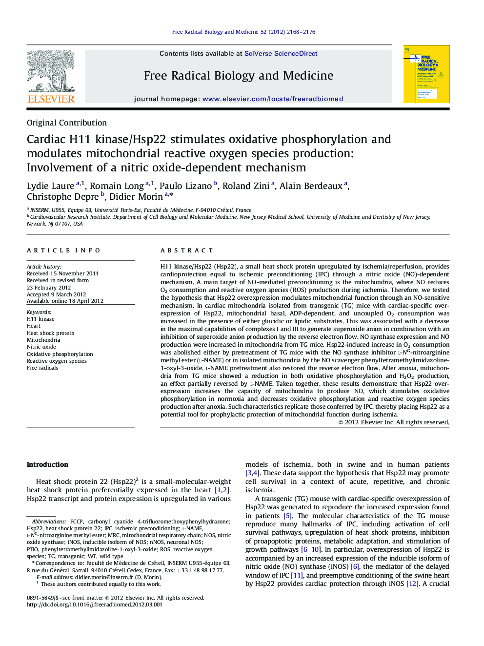 Cardiac H11 kinase/Hsp22 stimulates oxidative phosphorylation and modulates mitochondrial reactive oxygen species production: Involvement of a nitric oxide-dependent mechanism