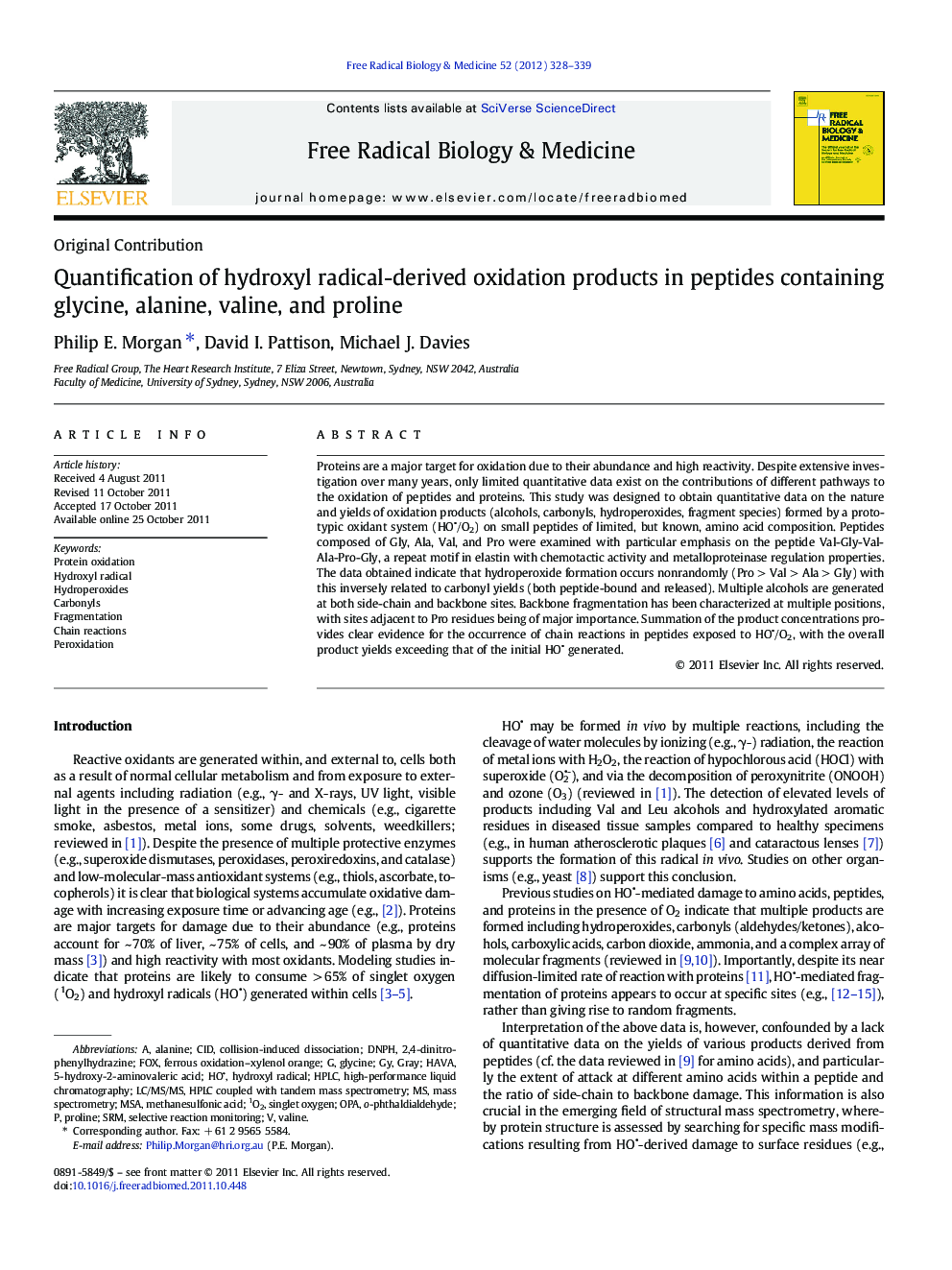 Quantification of hydroxyl radical-derived oxidation products in peptides containing glycine, alanine, valine, and proline