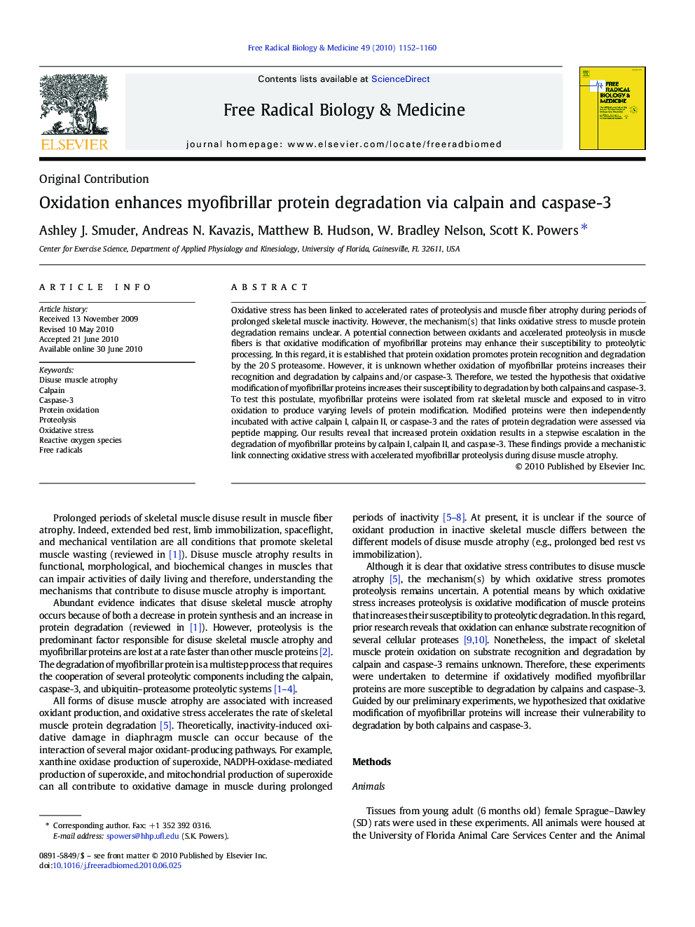 Oxidation enhances myofibrillar protein degradation via calpain and caspase-3