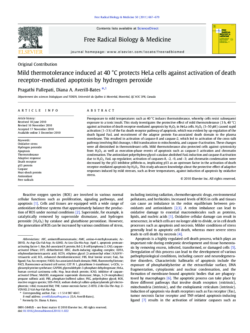 Mild thermotolerance induced at 40 °C protects HeLa cells against activation of death receptor-mediated apoptosis by hydrogen peroxide