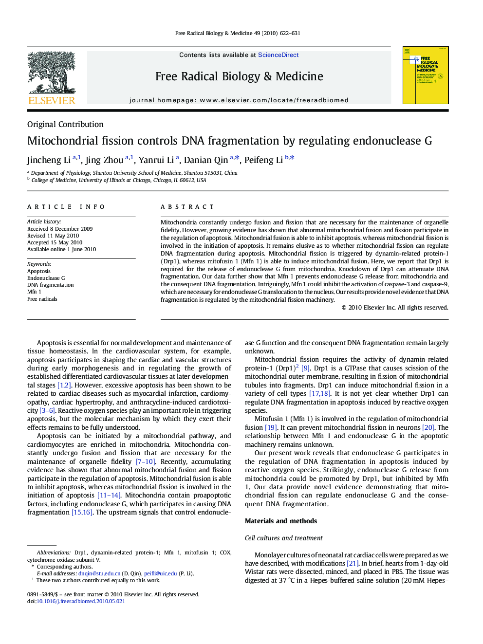 Mitochondrial fission controls DNA fragmentation by regulating endonuclease G