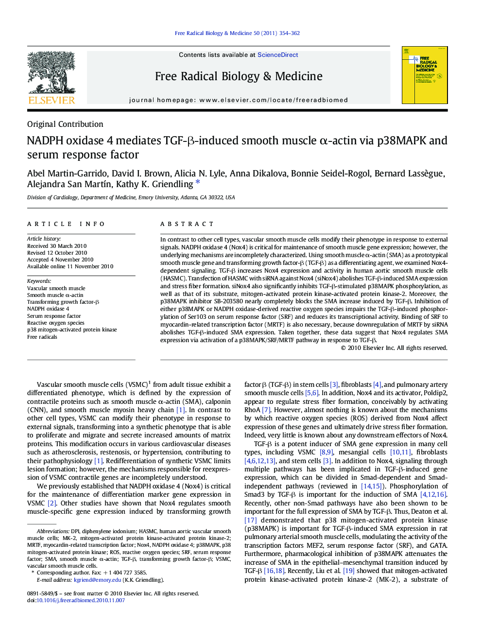 NADPH oxidase 4 mediates TGF-β-induced smooth muscle α-actin via p38MAPK and serum response factor