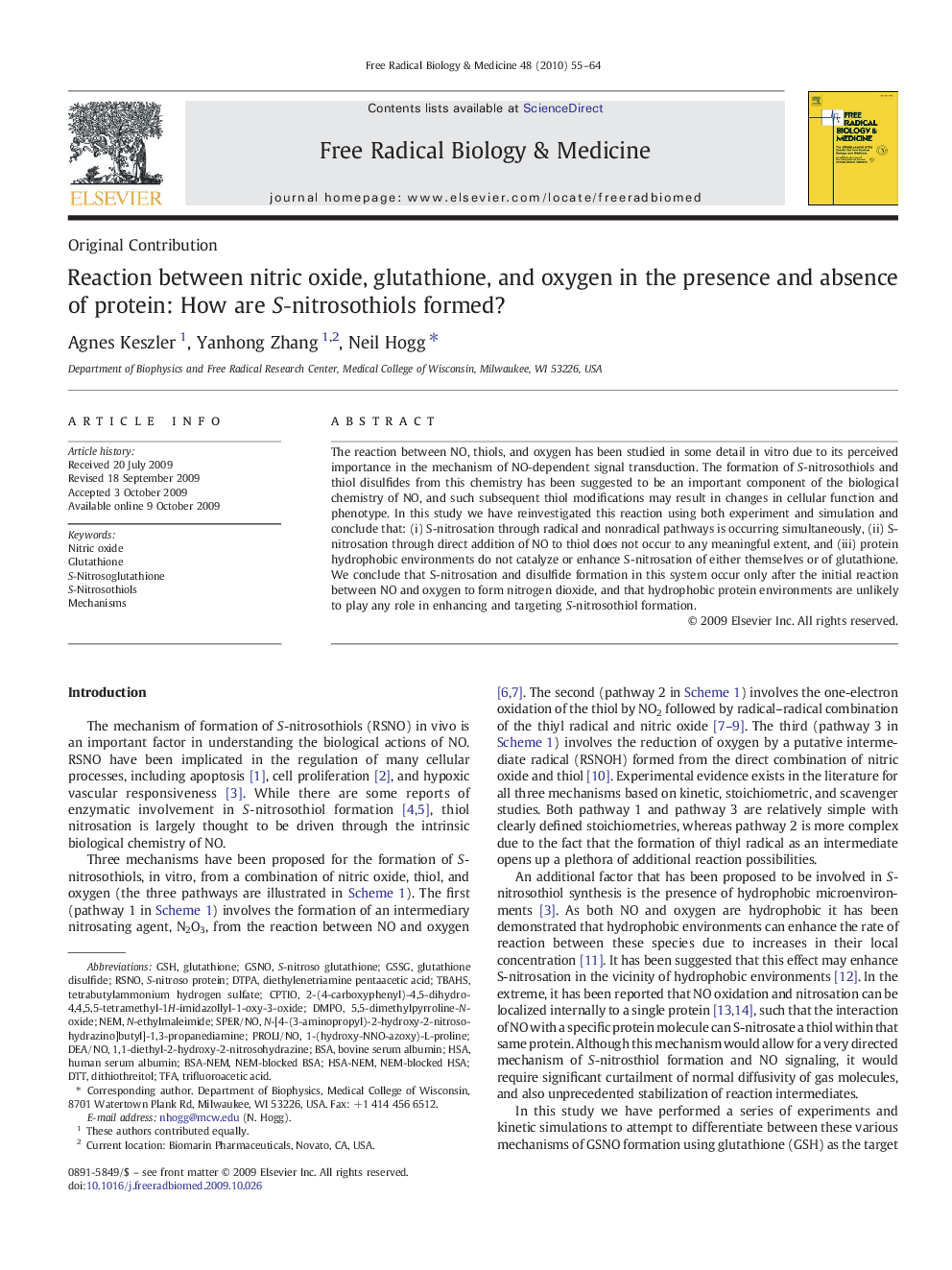 Reaction between nitric oxide, glutathione, and oxygen in the presence and absence of protein: How are S-nitrosothiols formed?